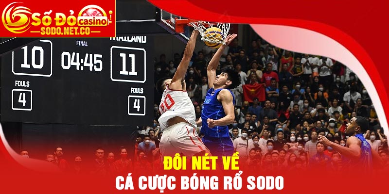 Đôi nét về cá cược bóng rổ Sodo