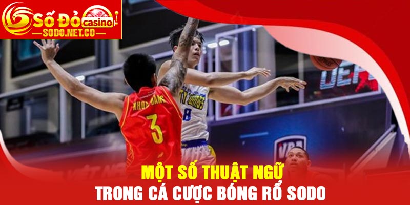 Một số thuật ngữ trong cá cược bóng rổ Sodo