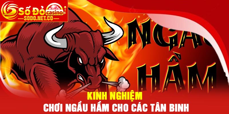 Kinh Nghiệm Chơi Ngầu Hầm Cho Các Tân Binh